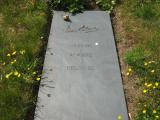 image of grave number 153817